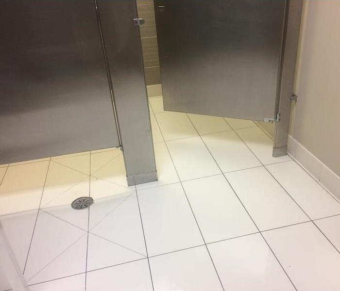 Cleaned and sanitized floor in a public restroom.