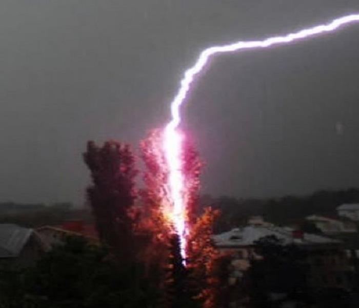 Bolt of lightning hitting a tree from a distant storm