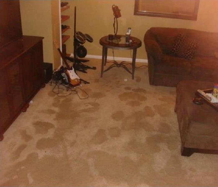 A furnished basement saturated by water damages