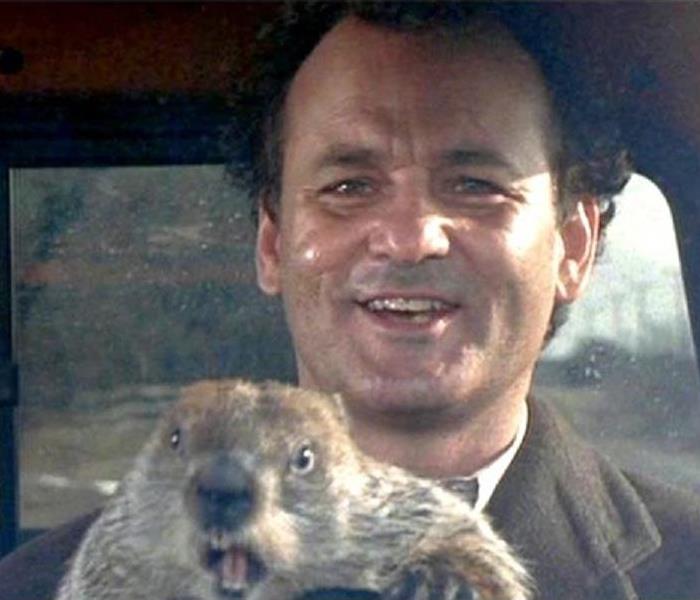 Bill Murray and Punxsutawney Phil from the movie "Groundhog Day"