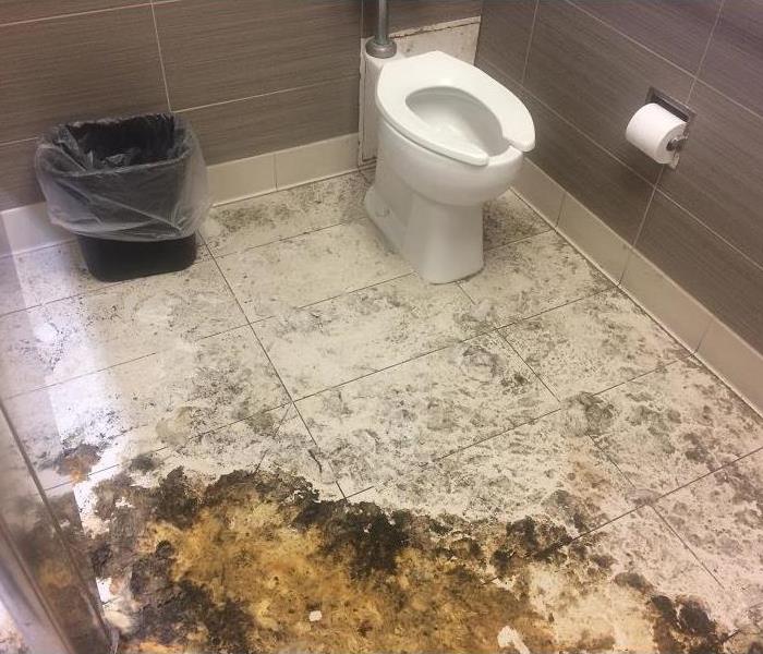 Minor sewage water on a commercial bathroom floor