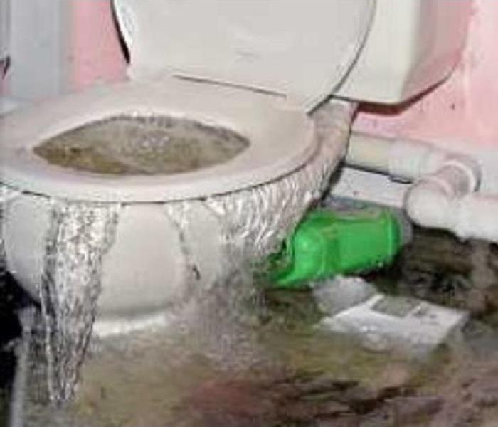 Water coming up through a toilet